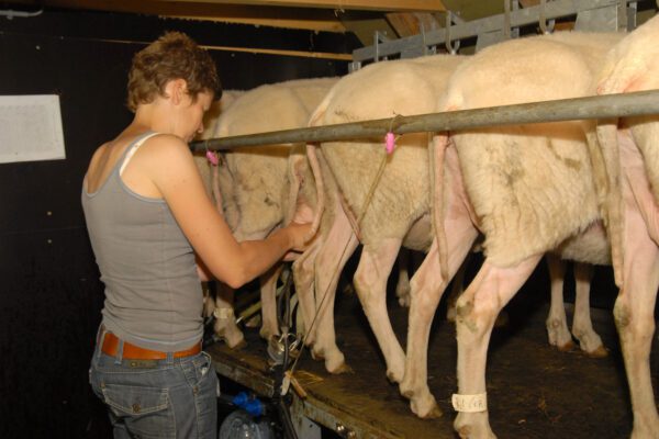 Hygiëne & voedselveiligheid